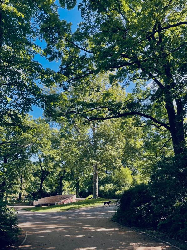 My phone is taking over my personality