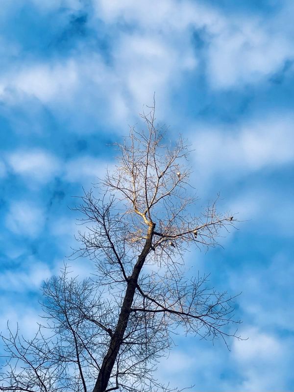 The Art of Preparedness