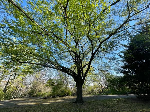 100 things that made my year (2025)