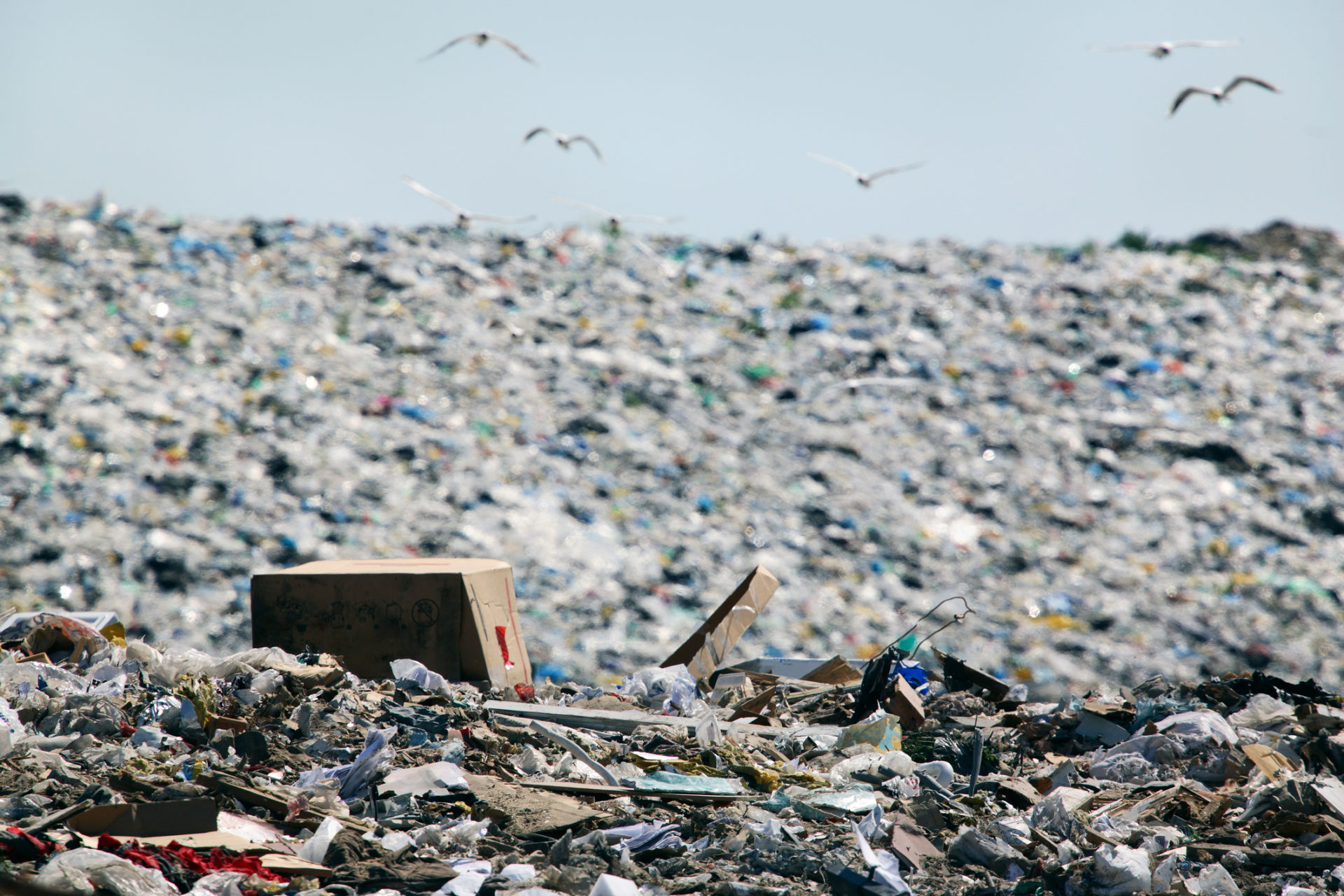 Pile of domestic garbage in landfill
