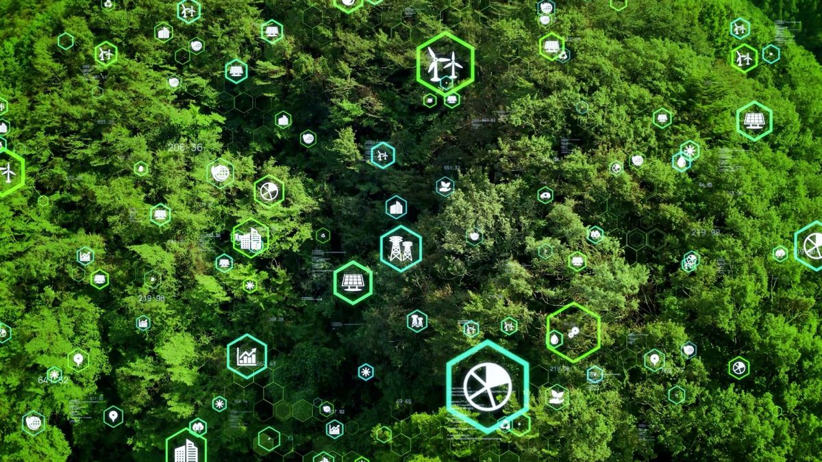 Just Solutions harmful carbon capture featured image