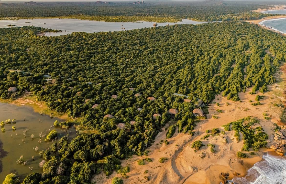 Sri Lanka Safari Showdown: Yala vs. Wilpattu - Which is Right for You?