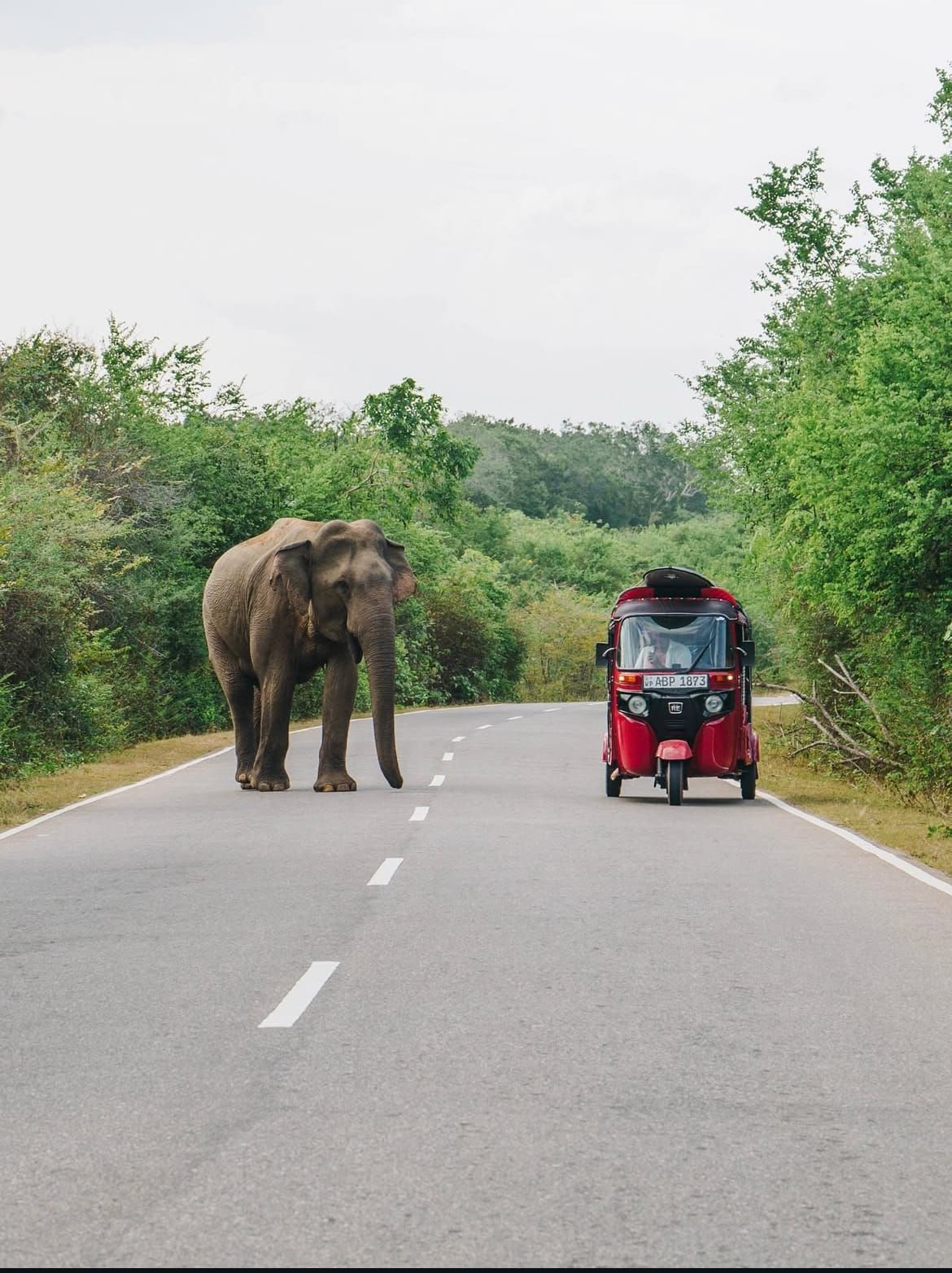 The Truth About Getting Around Sri Lanka (And How to Avoid the Stress)