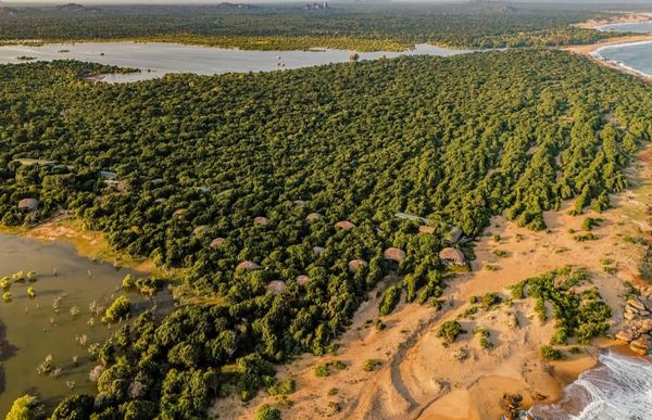 Sri Lanka Safari Showdown: Yala vs. Wilpattu - Which is Right for You?