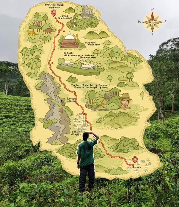 The Pekoe Trail: Why This Is Sri Lanka's Most Unforgettable Hike