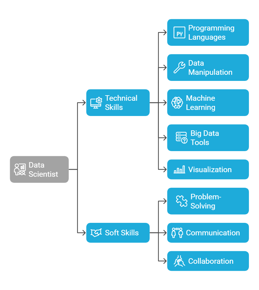 Data Scientist Skills Required
