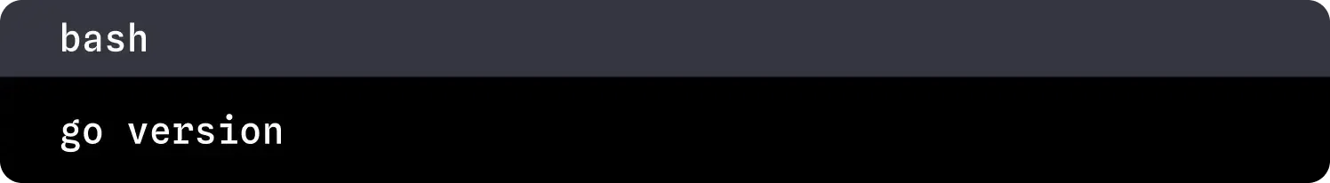 check the go version