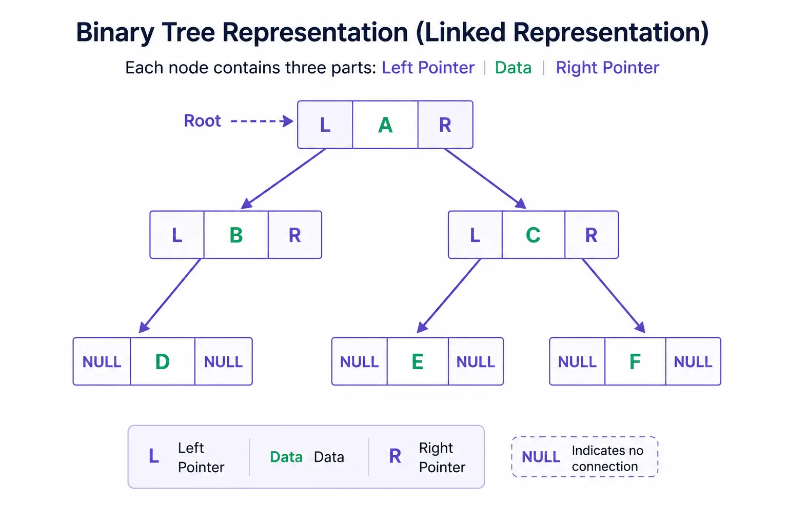 Tree in Data Structure