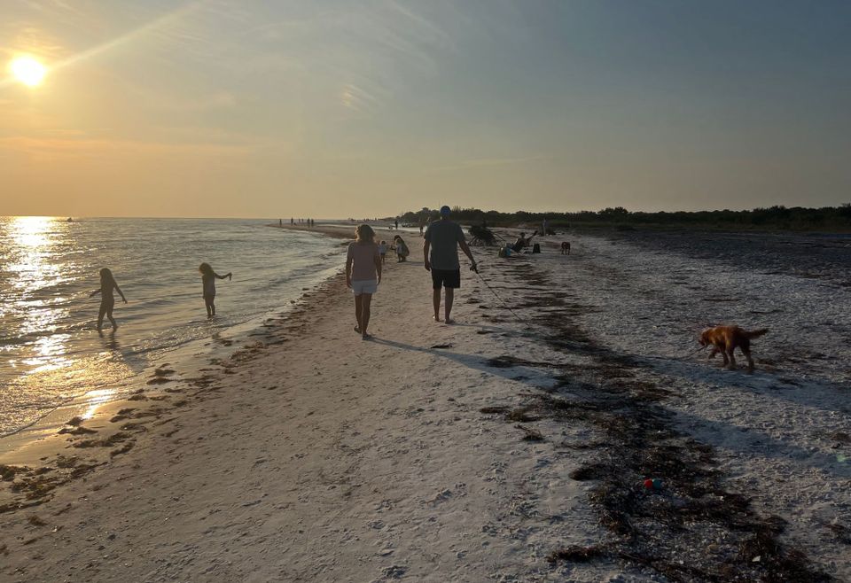 Teaching in Tampa's Transformation Network – defeat and hope