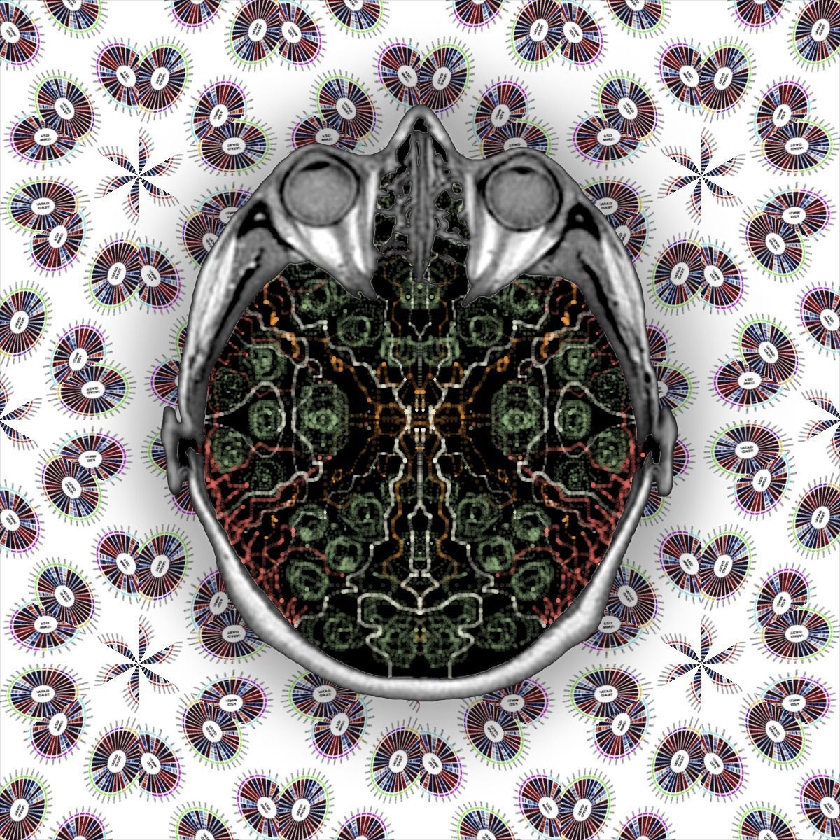 Spinderella - lets cut it up on the dance floor!