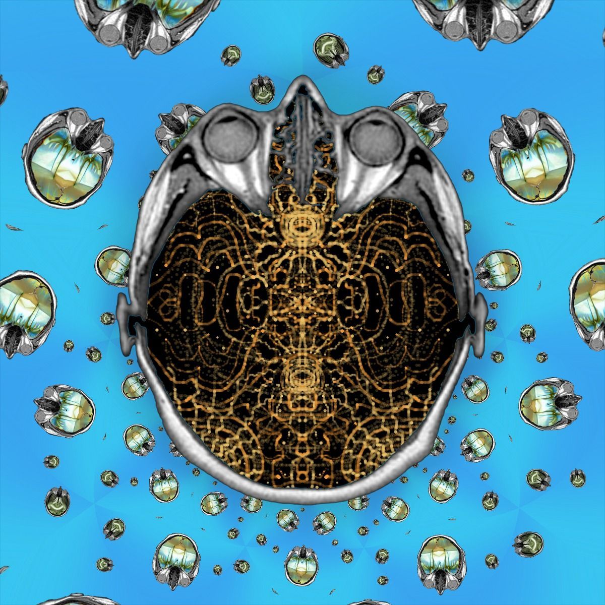 HEAD IN THE CLOUDS – FEET ON THE GROUND