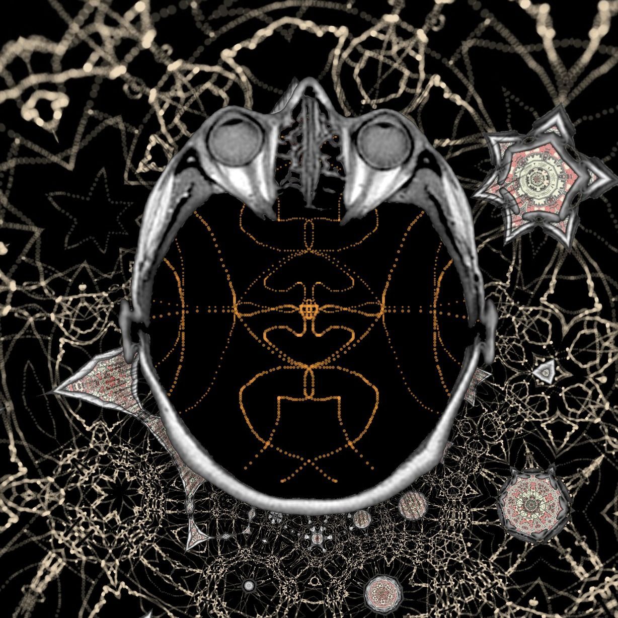 ok i changed some text in the questionnaire