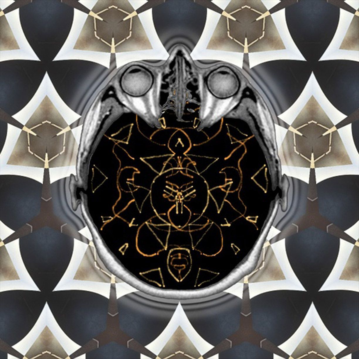 we are always an evolutionary test