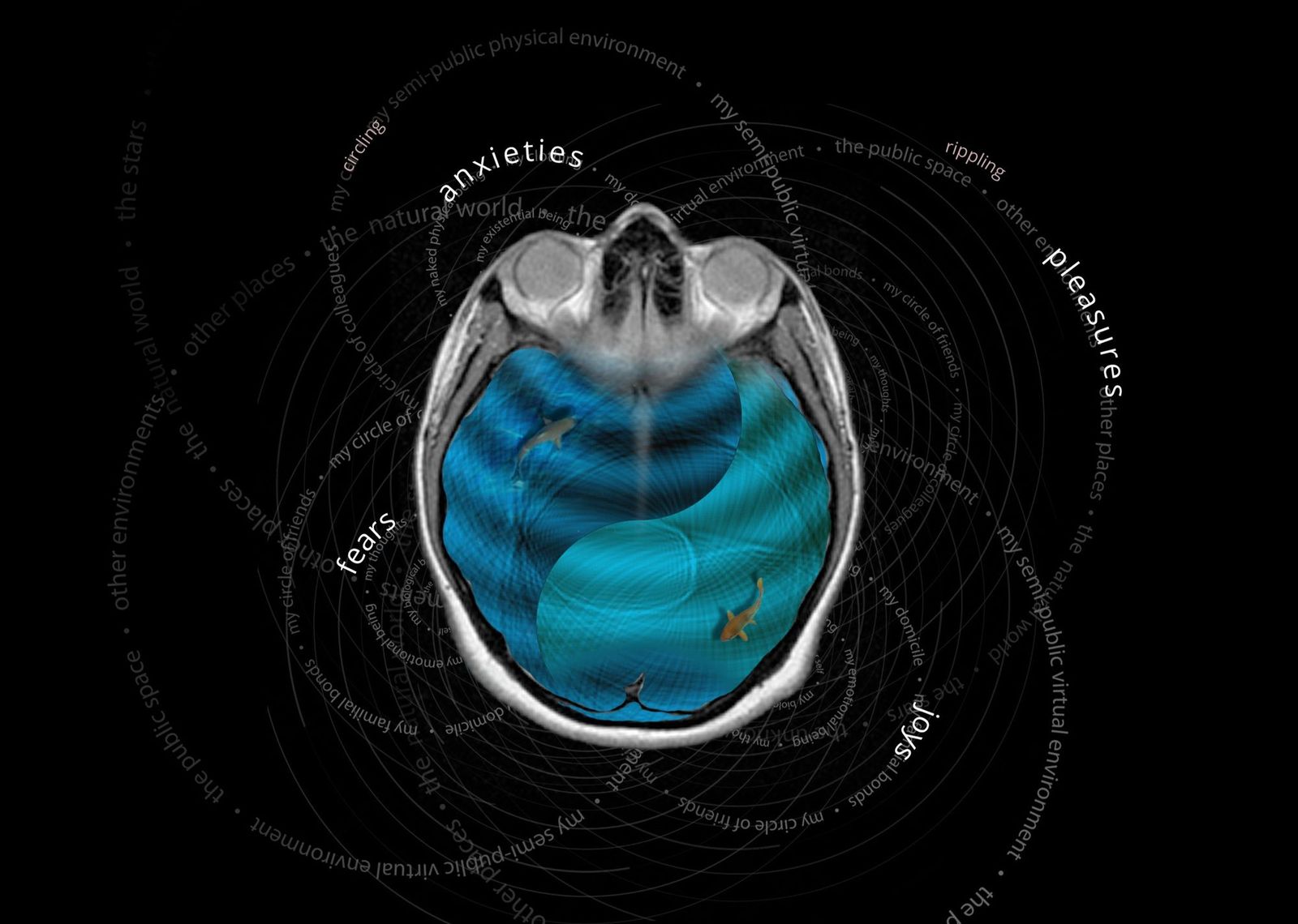 inner-selfie screenshot