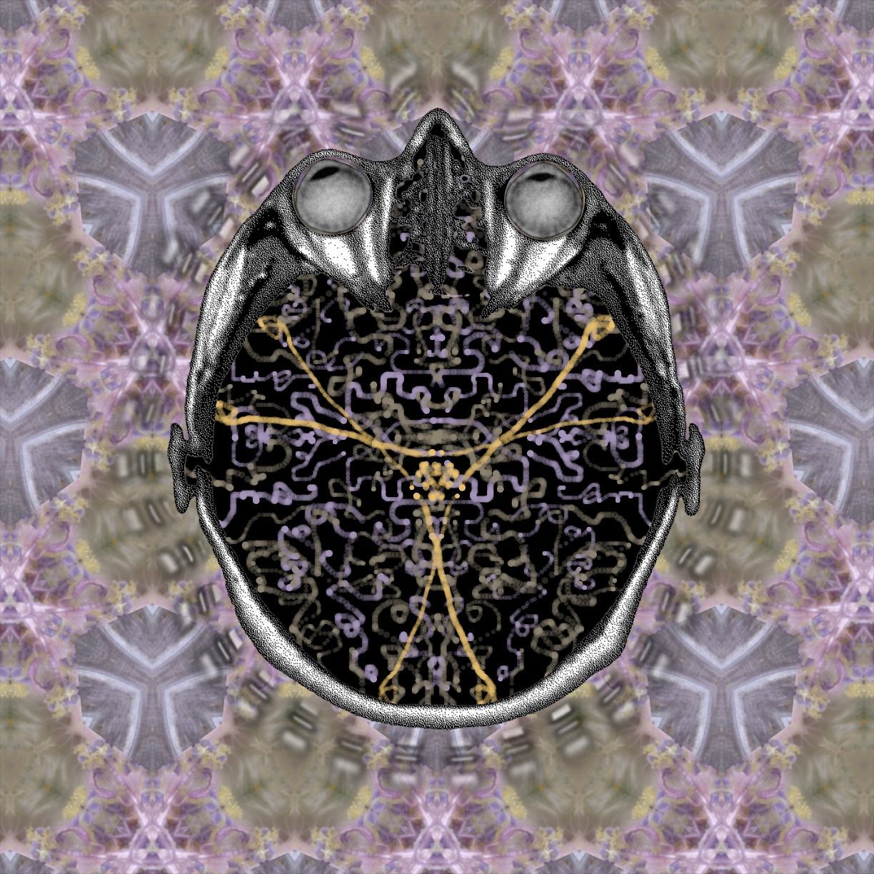 here or not here I am!