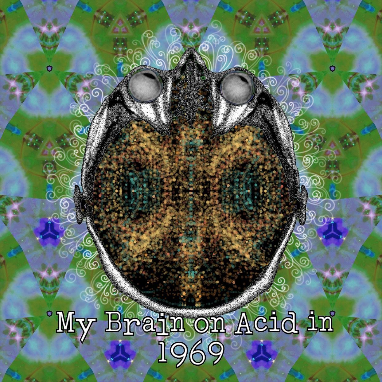 My Brain on Acid in 1969