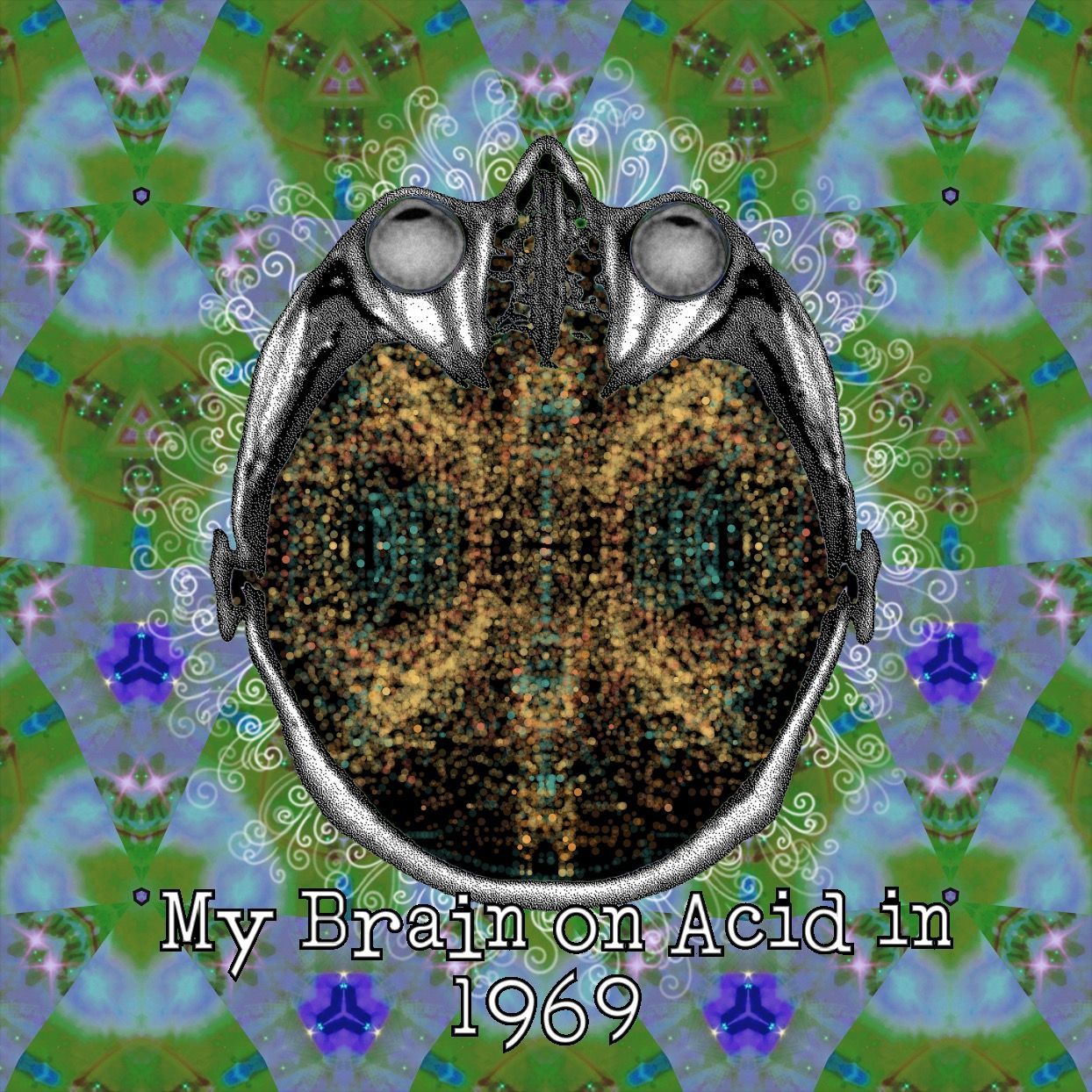 My Brain on Acid in 1969