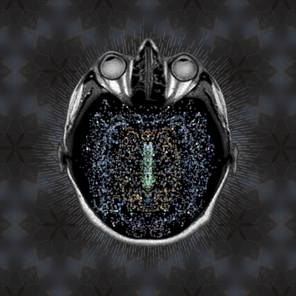 Freedom
Confidence
Courage