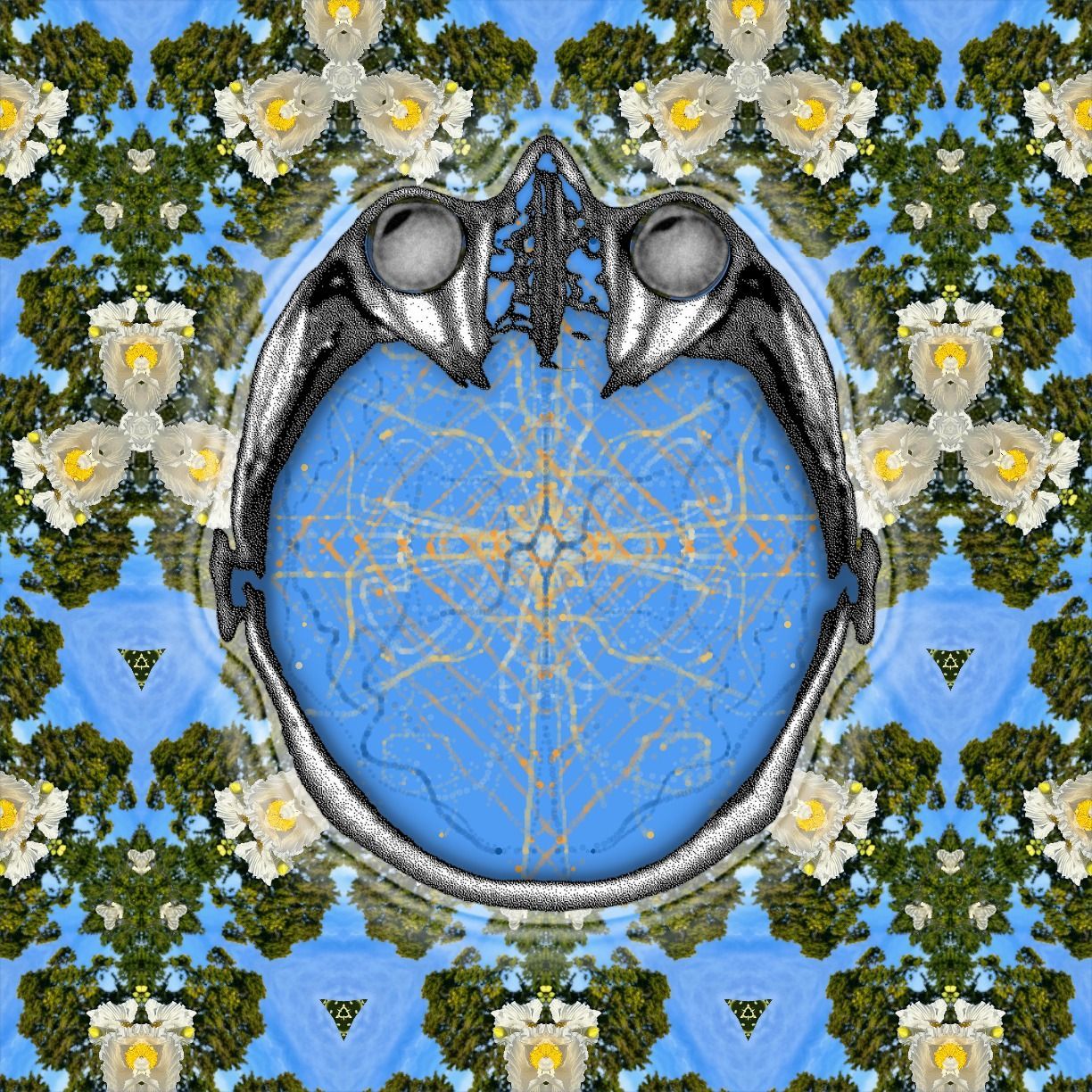 floating down the river