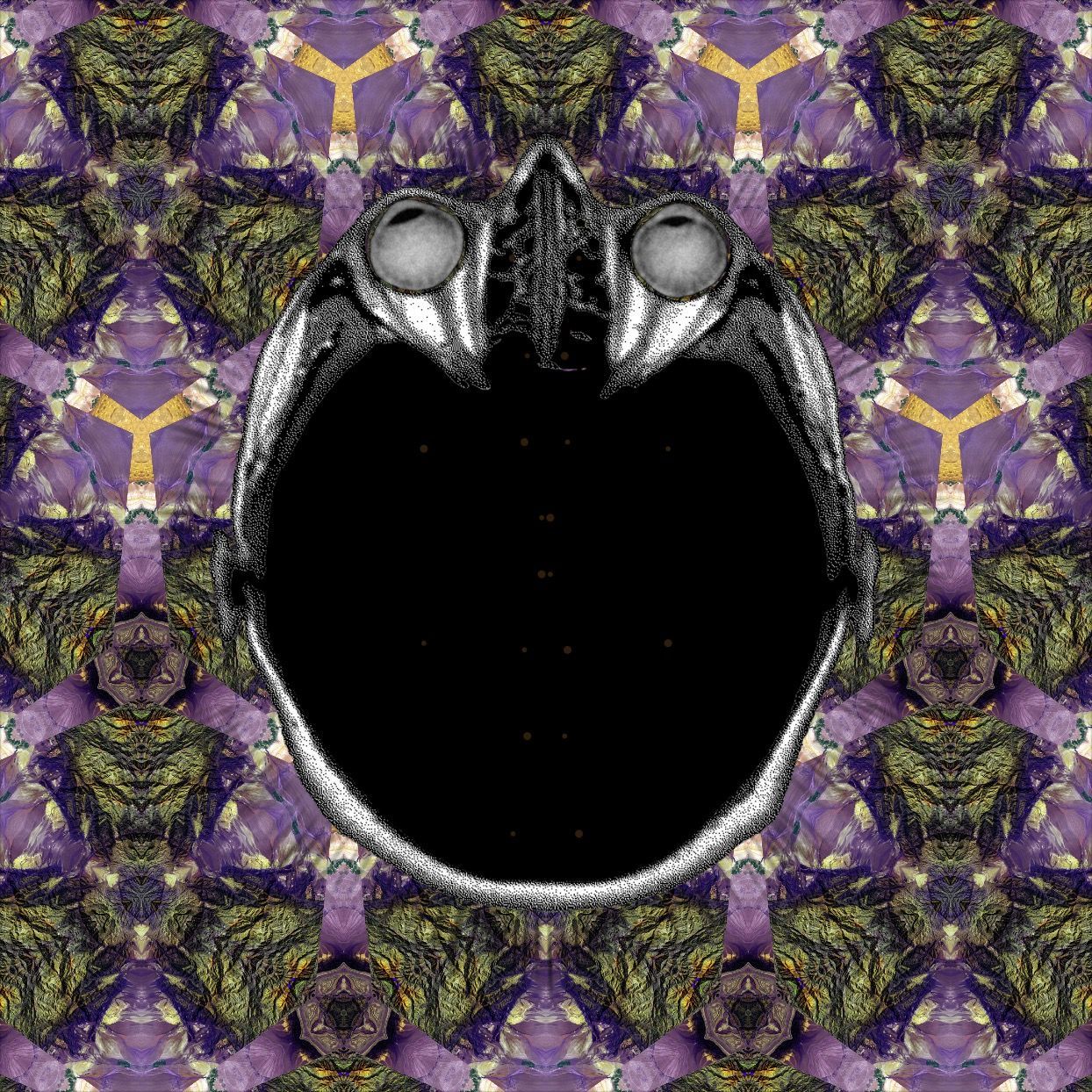 Be kind
Have fun
Dream big