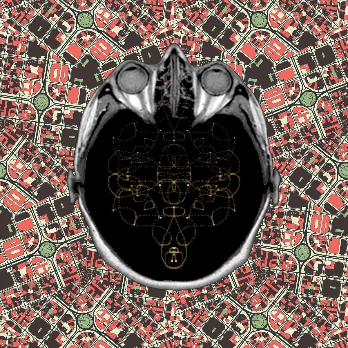 Do my words deceive me?