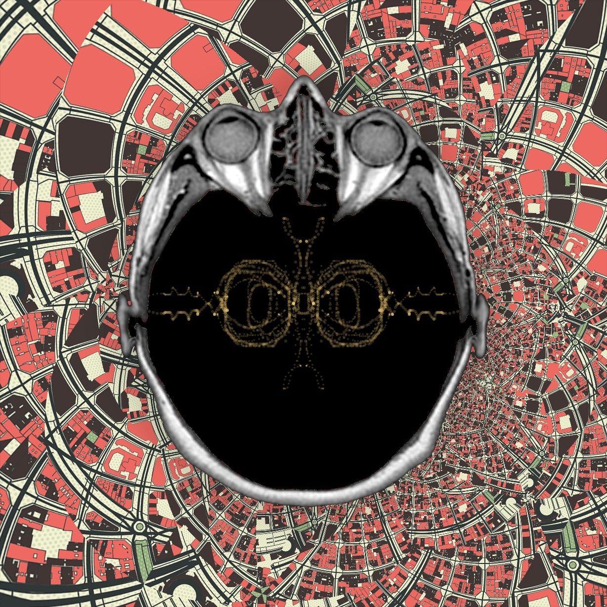 woowoo - i changed the question type... will it break?