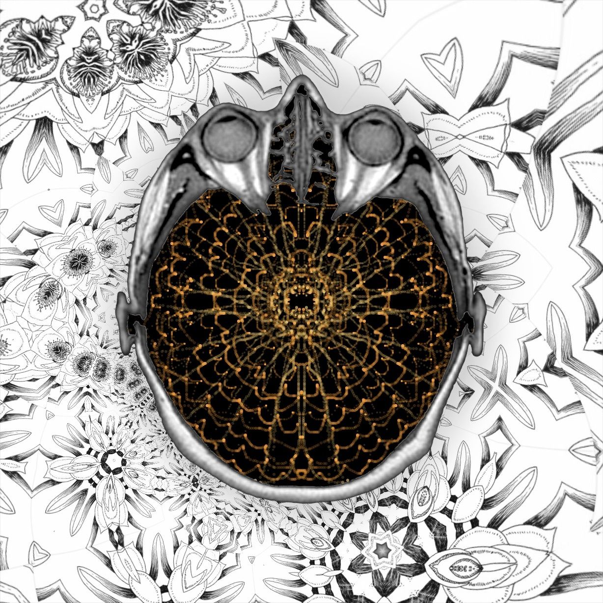 my first words - were drawings