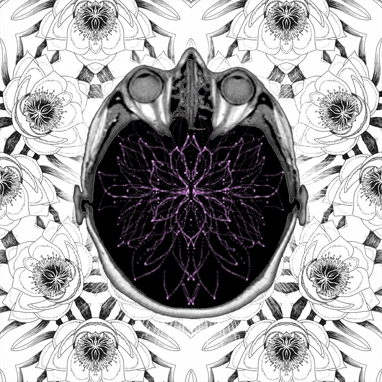 a rose by any other name