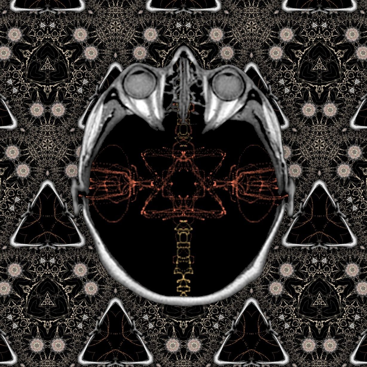 ok lets see if i can add ingredients to the cake batter