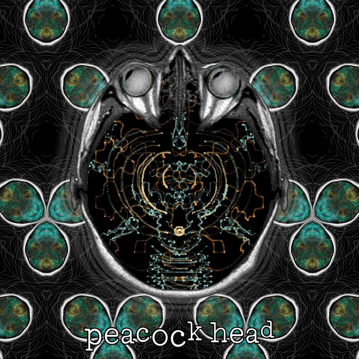 peacock head