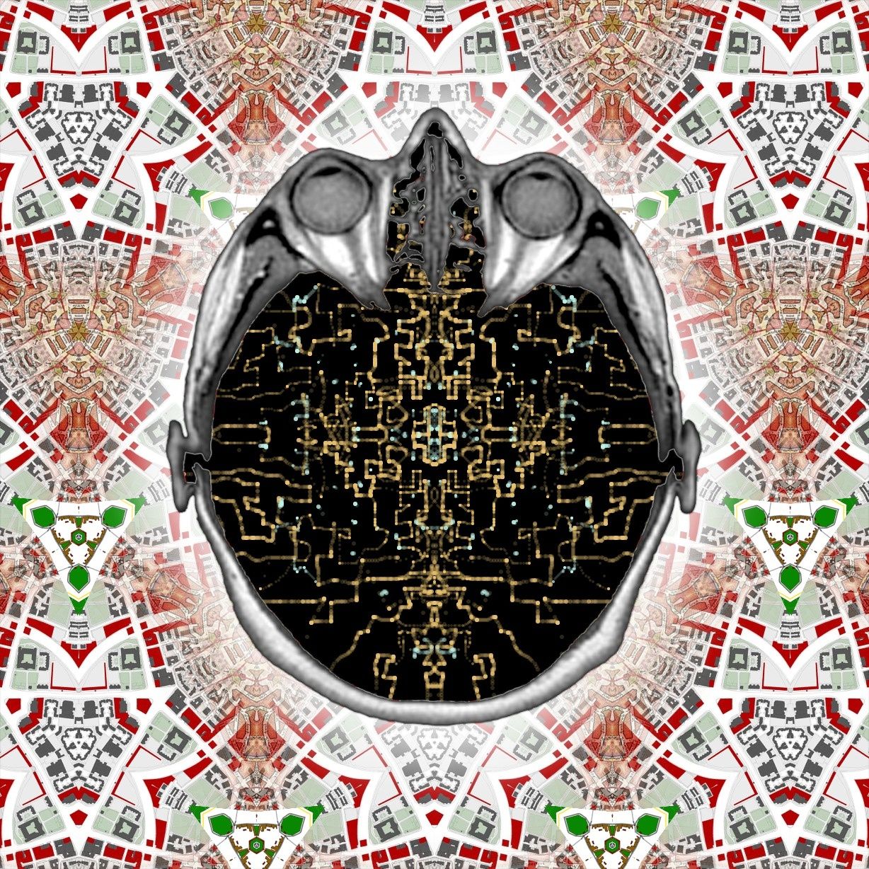 a new background map