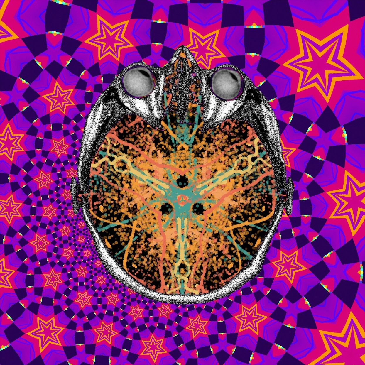 Don't know where i am going, but i promise it won't be boring