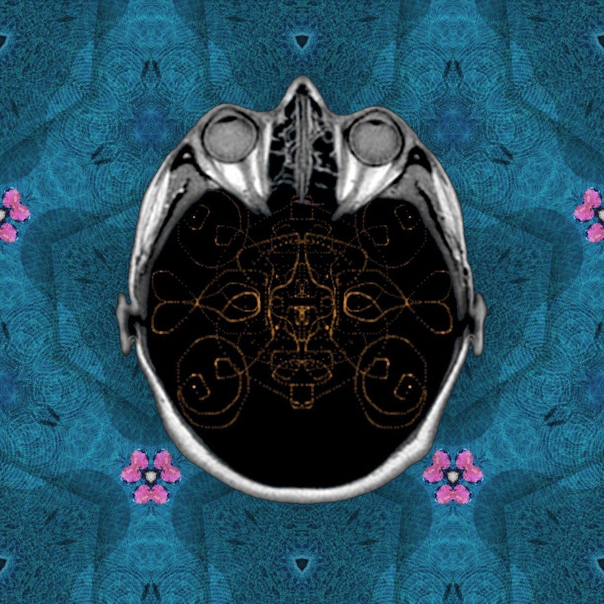 Adrift in the ocean in a barrel I float like a leaf on the water