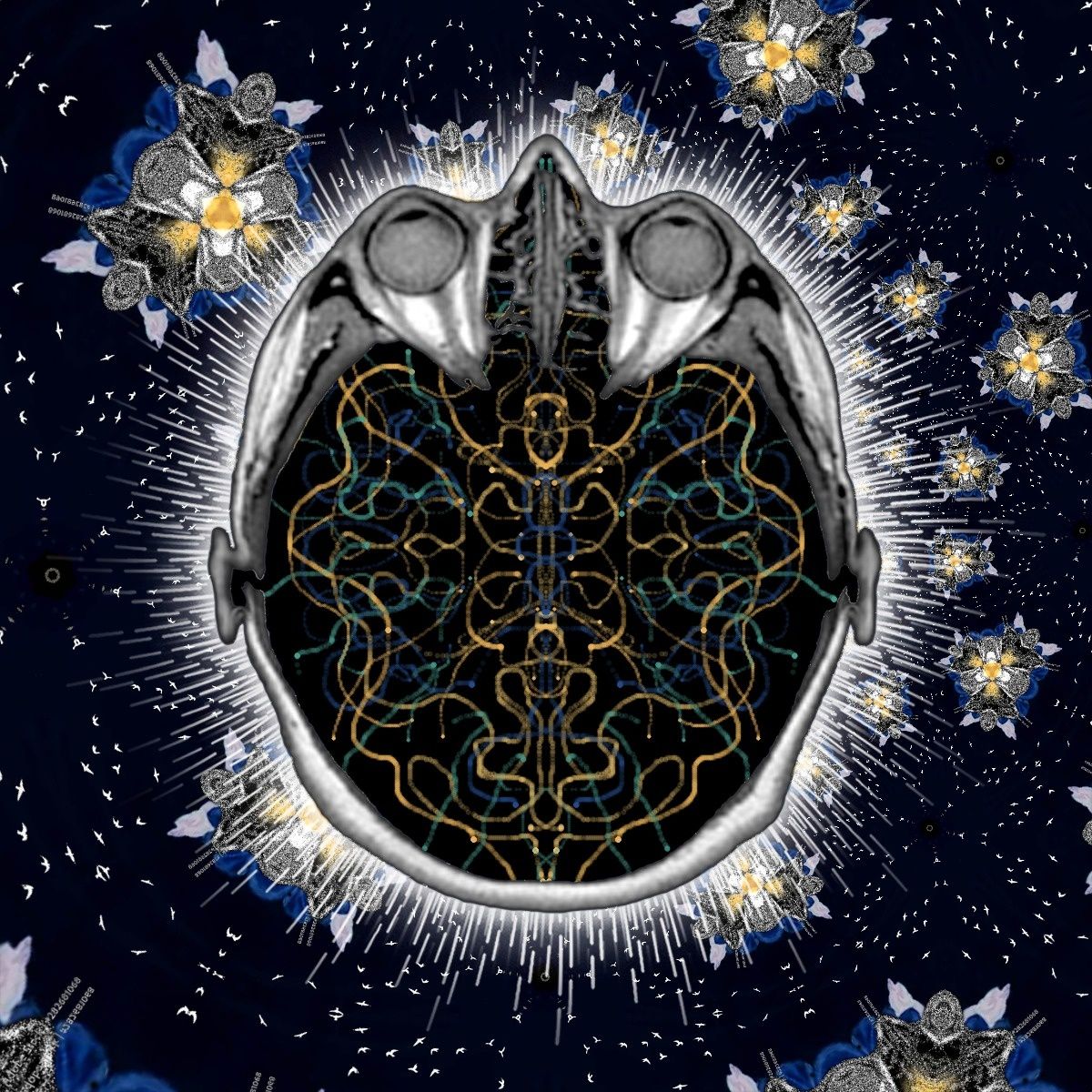 Feel it all even if it hurts