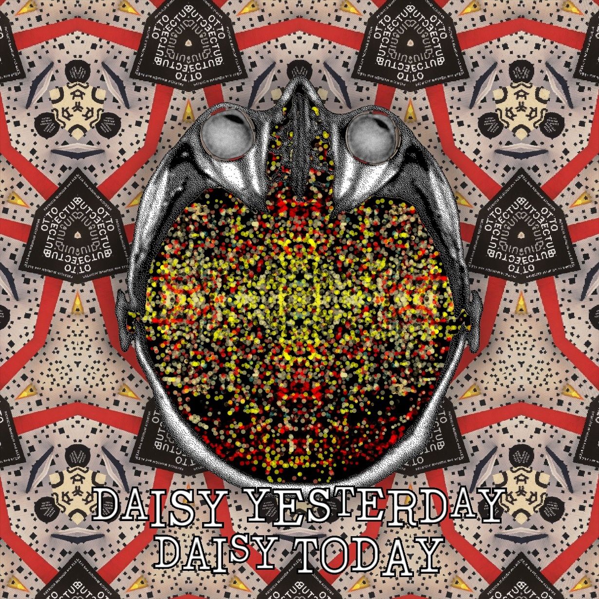 DAISY YESTERDAY
DAISY TODAY