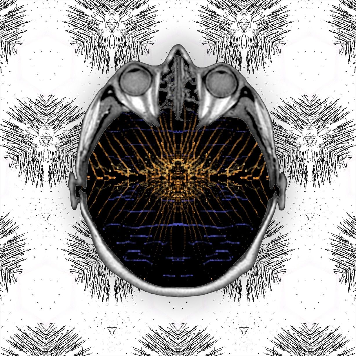 smoke on the water - fire in the sky