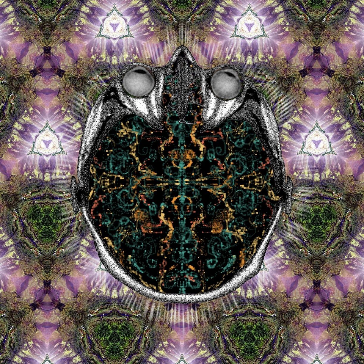 live every day as if it were your last