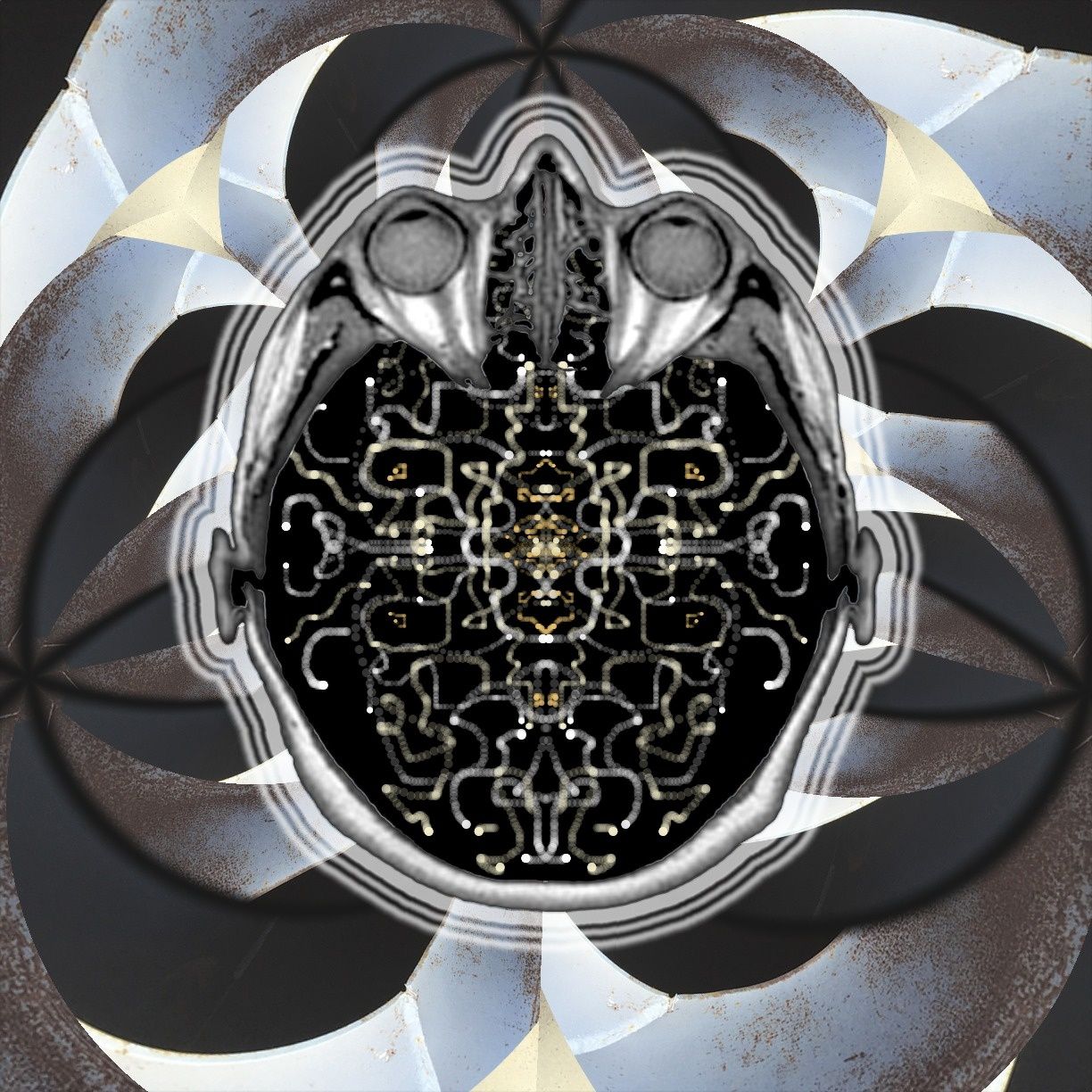 Que es mas macho? Pineapple or pen?