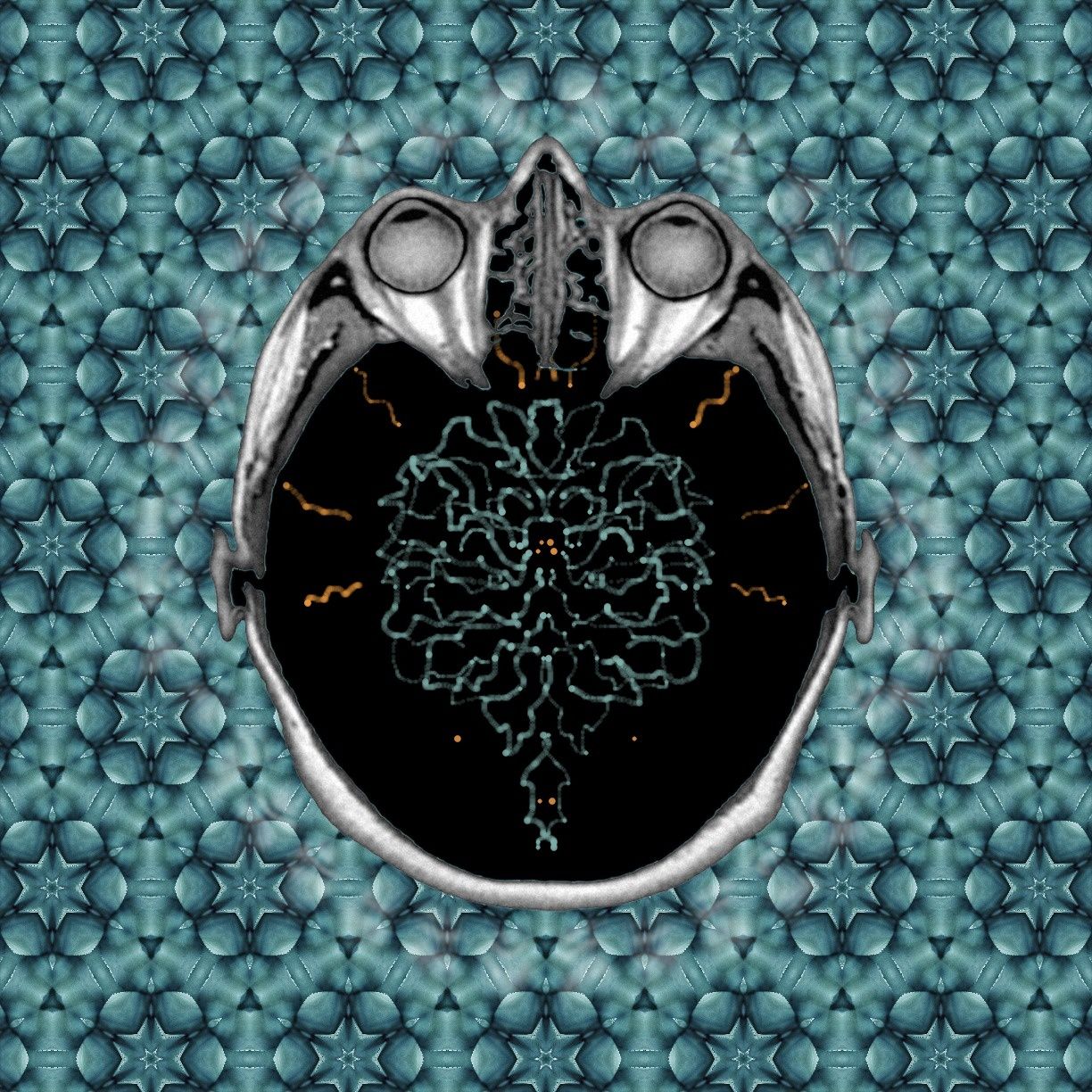 so what if I dance? It's a revolution.