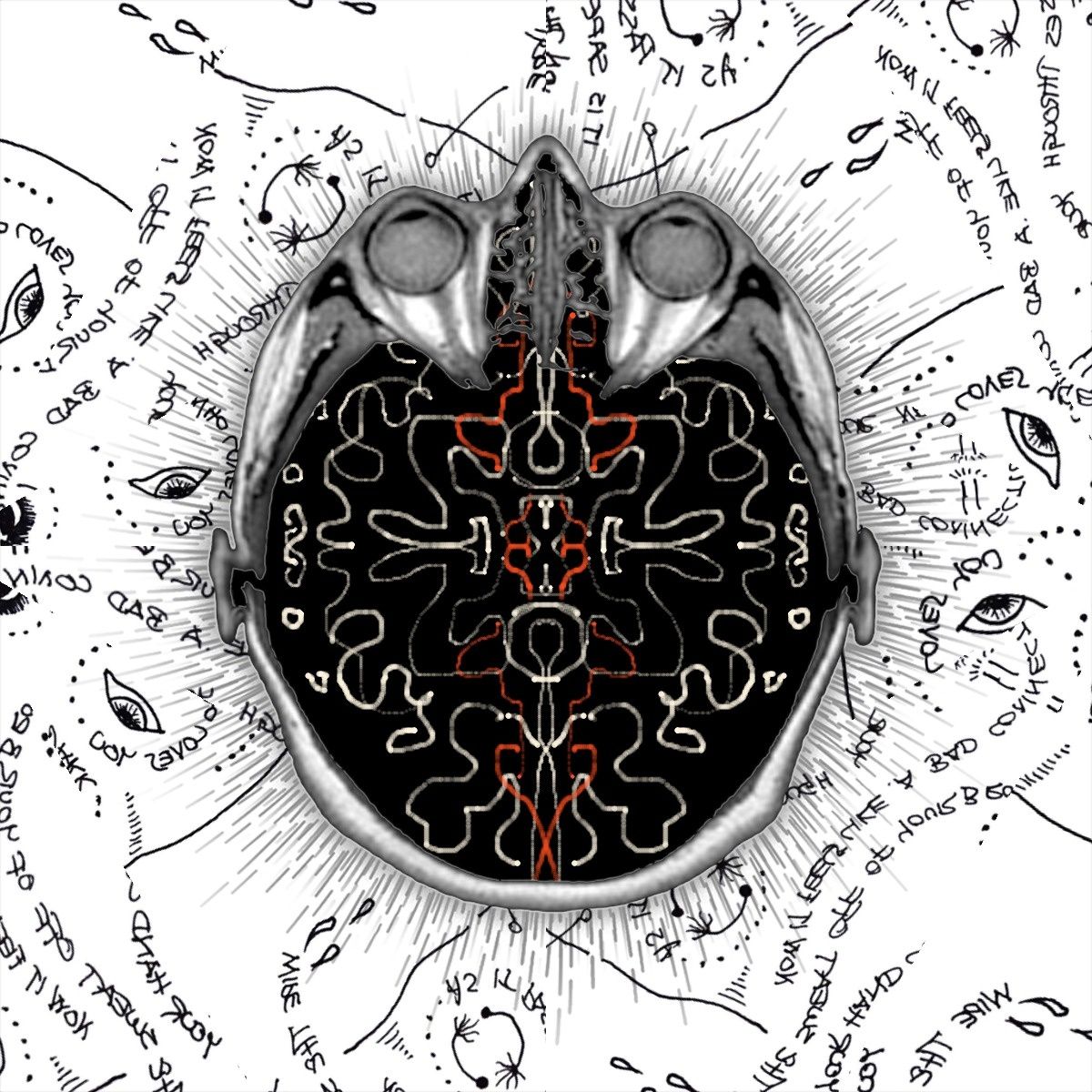 The Public Collection