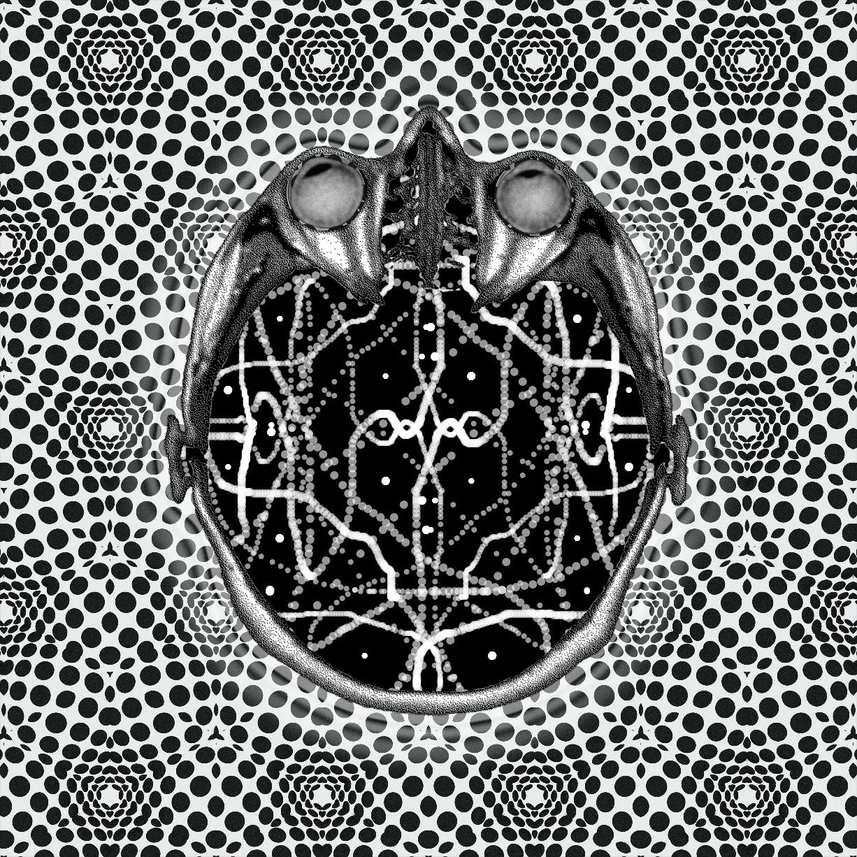 as above, so below
- as within, so without