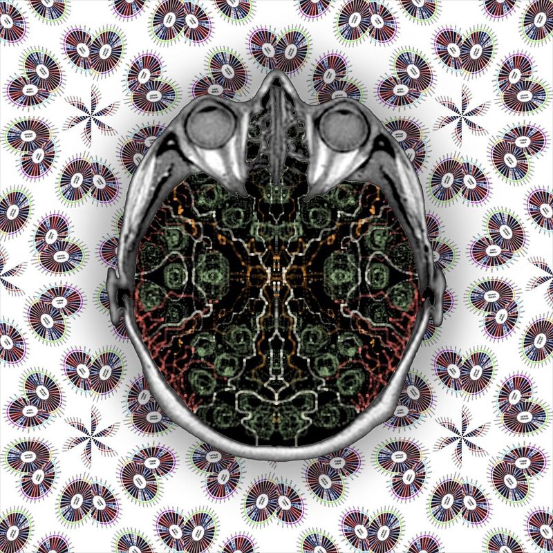 Spinderella - lets cut it up on the dance floor!