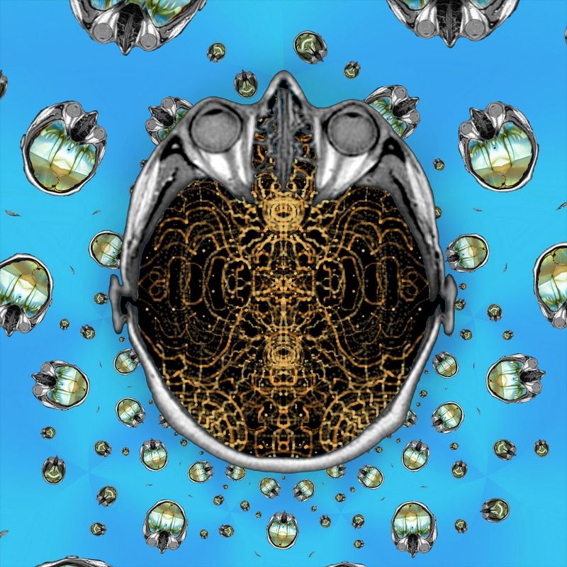 HEAD IN THE CLOUDS – FEET ON THE GROUND