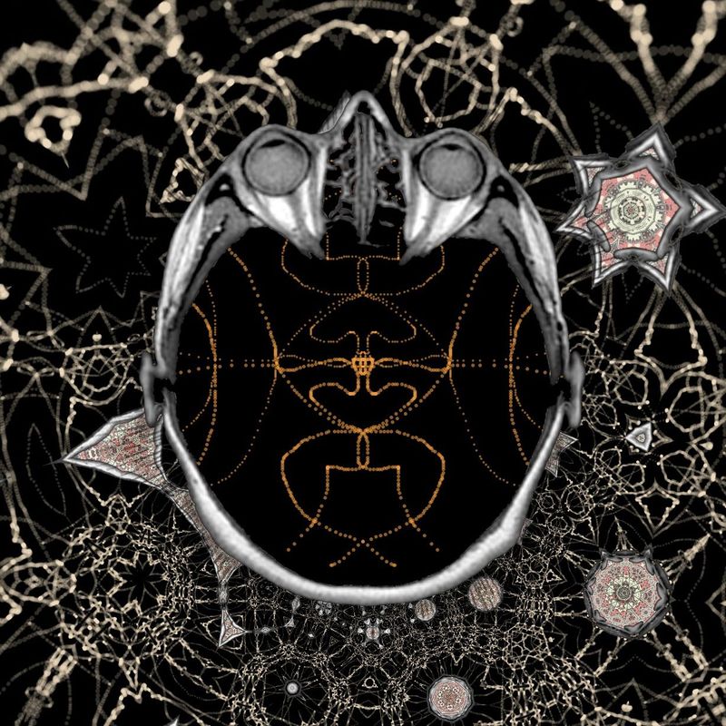 ok i changed some text in the questionnaire