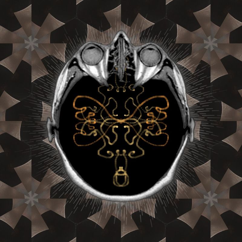 sleep well and prosper