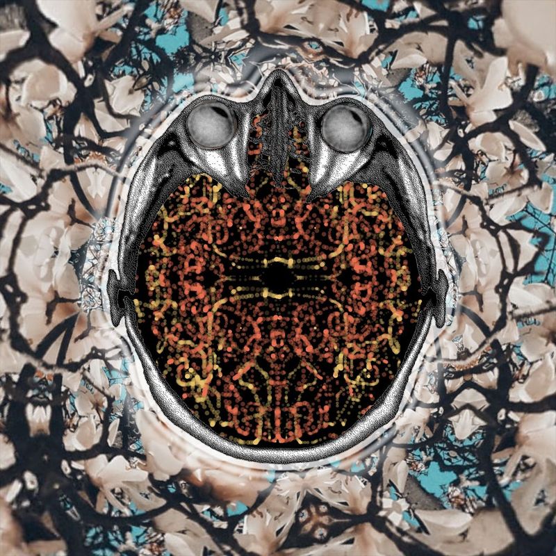 Happy Birthday Maral!