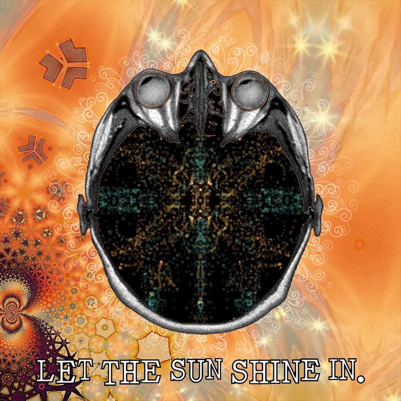 LET THE SUN SHINE IN.