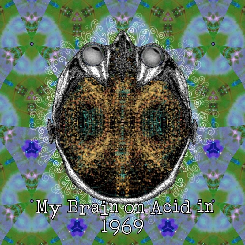 My Brain on Acid in 1969