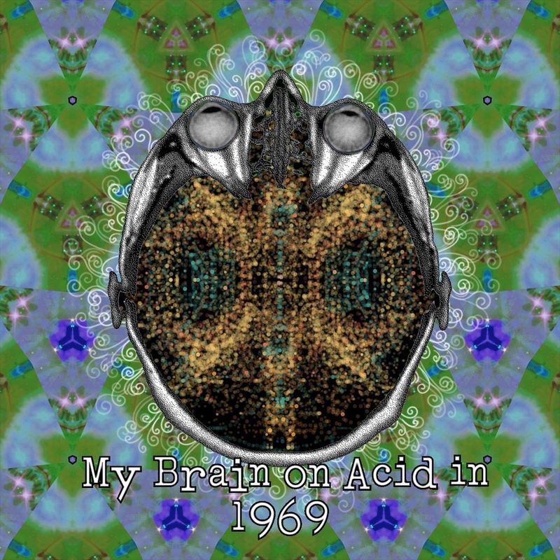 My Brain on Acid in 1969