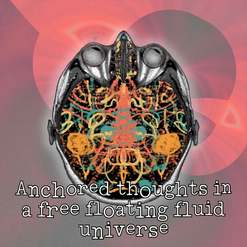 Anchored thoughts in a free floating fluid universe